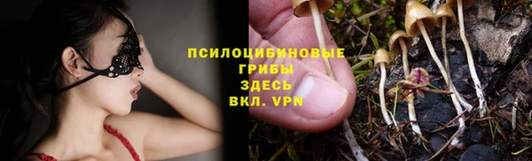 винт Белоозёрский