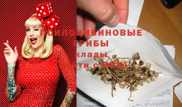 мет Белокуриха