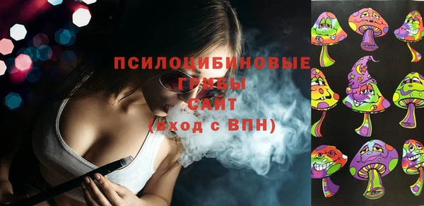 ГАЛЛЮЦИНОГЕННЫЕ ГРИБЫ Беломорск